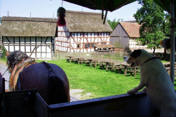 51 Freilichtmuseum Hessenpark